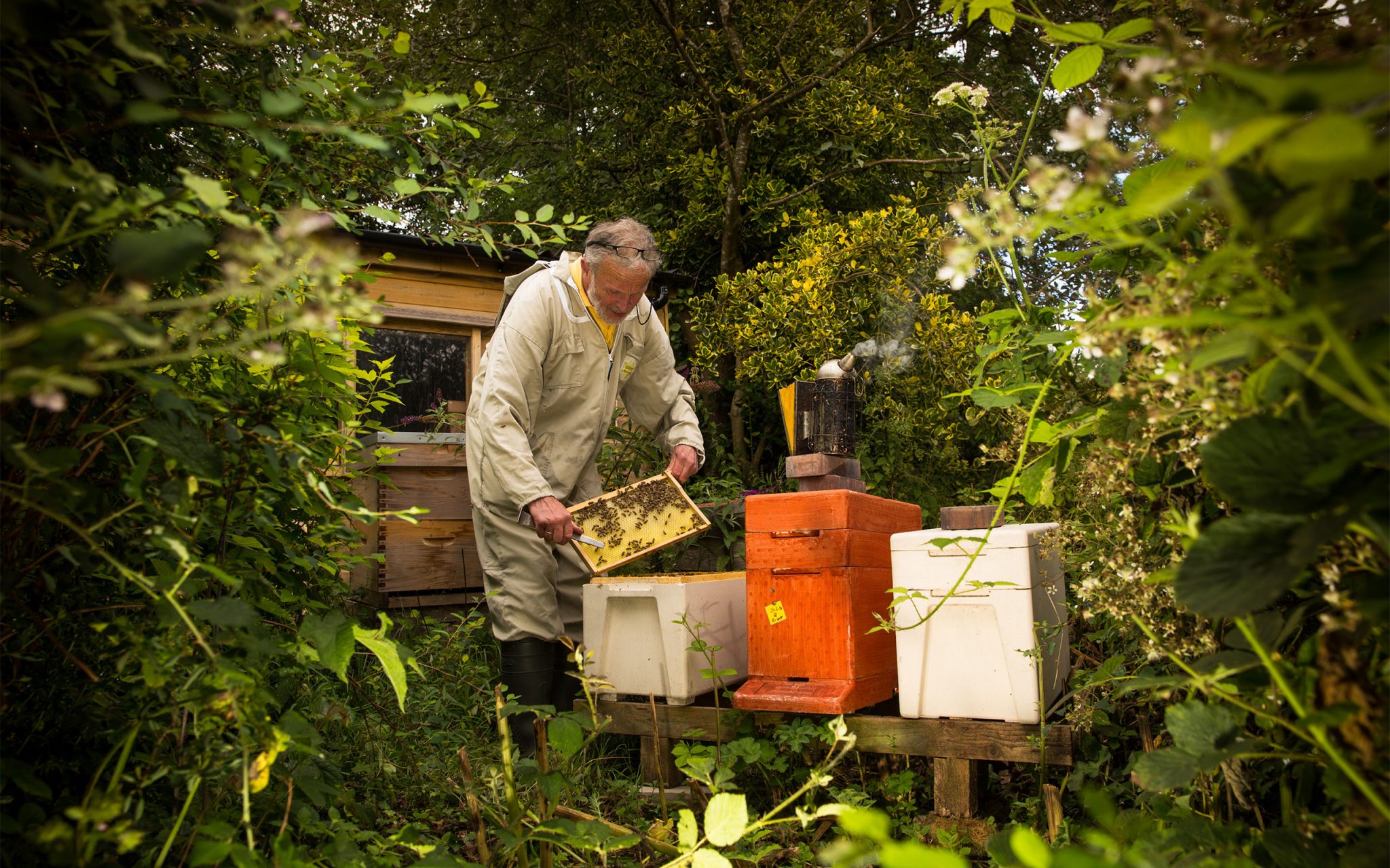 Peter Hunt, Beekeeper in his apiary at Blackaller-Bees, Dartmoor Wild Flower Honey